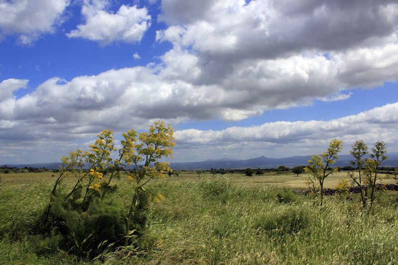 2016-04-25_125954 sardinien-2016.jpg - Hochebene Barbagia